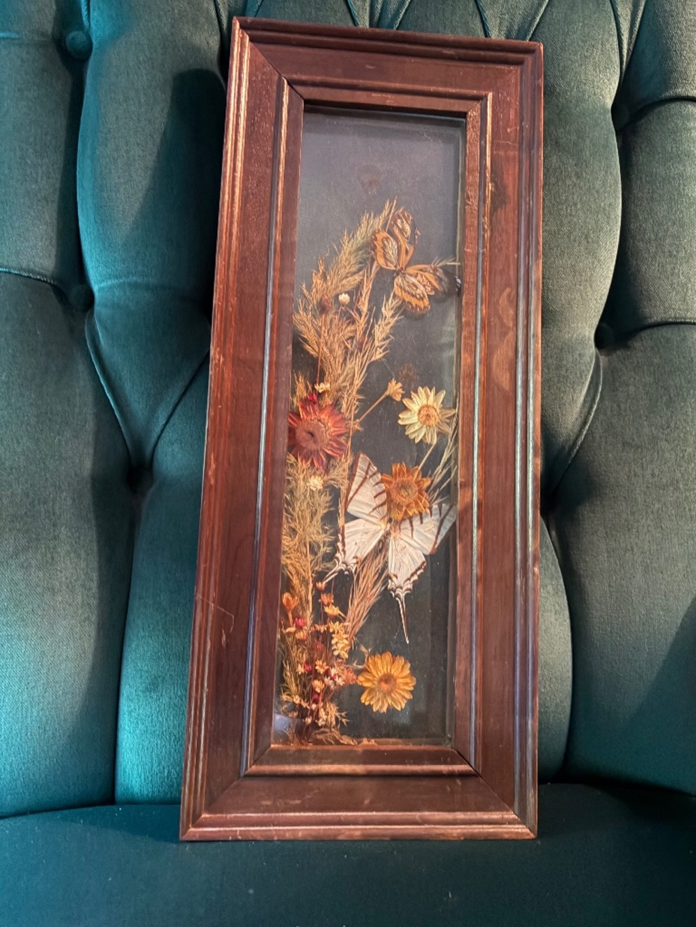 Frame